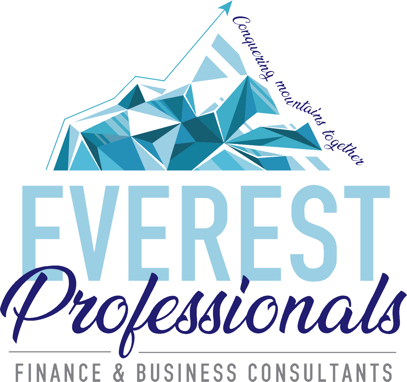 Everest Professionals